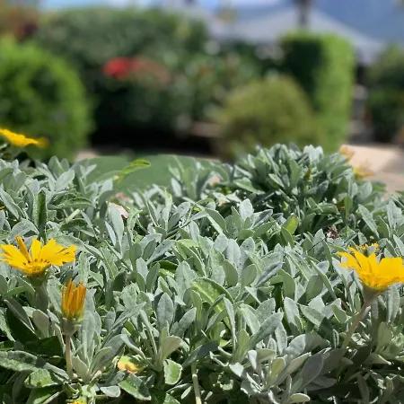 Casa La Masia 别墅