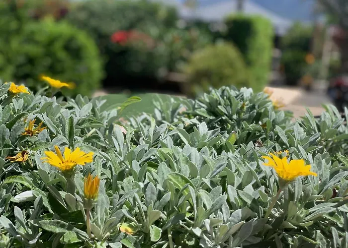 Casa La Masia Вилла