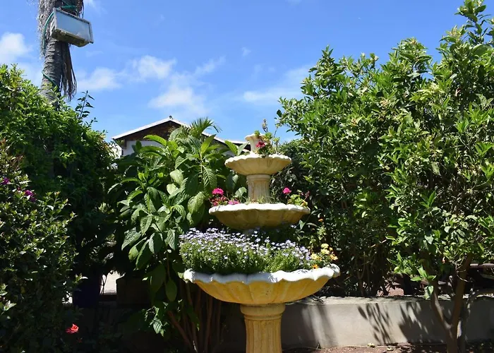 ヴィラ Casa La Masia